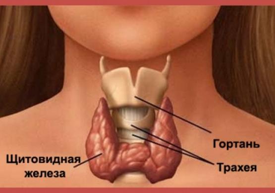 10 признаков проблем со щитовидной железой, о которых вы никогда бы не подумали