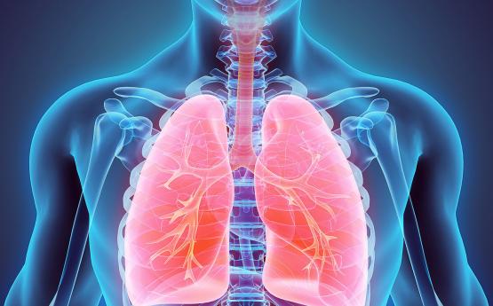 4 բաղադրիչ, որոնք կմաքրեն թոքերը նիկոտինից և կպարգևեն առողջ շնչառություն