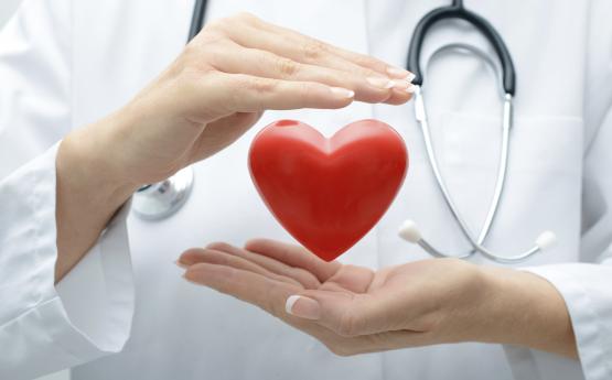 Բժիշկը-սրտաբանը նշել է սրտի համար ամենաօգտակար 4 մթերքները․ Զարմանալի ընտրություն