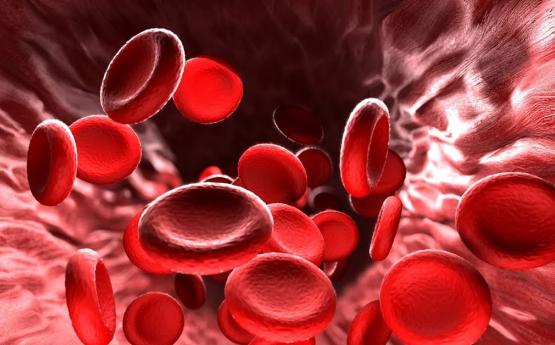4 մթերք, որոնք ջրիկացնում են արյունը․ Ամեն օր օգտագործելու դեպքում ՝ դեղերից ավելի արդյունավետ են