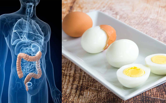 Ի՞նչ է տեղի ունենում ձեր օրգանիզմում, երբ առավոտյան խաշած ձու եք ուտում