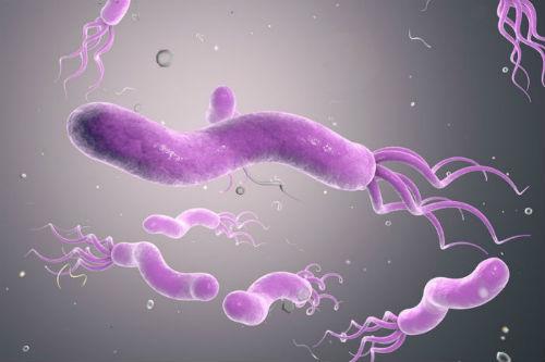 Парадоксы геликобактера: понимание и лечение болезни